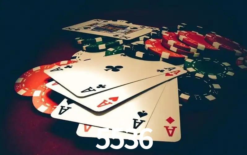 5536 Plataforma